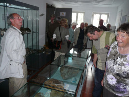 In der Fosiliensammlung