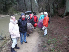 Wanderer vor dem Kahlschlag