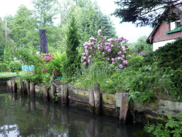 Spreewald