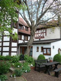 Docktersgärtlein