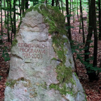 Reichswaldprogramm